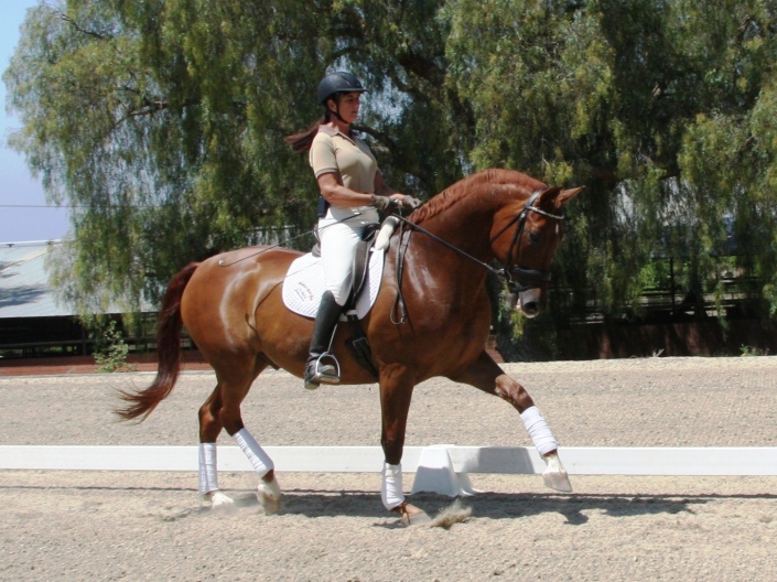 Monterey-at-Spirit-Equestrian-014-705x528.jpg