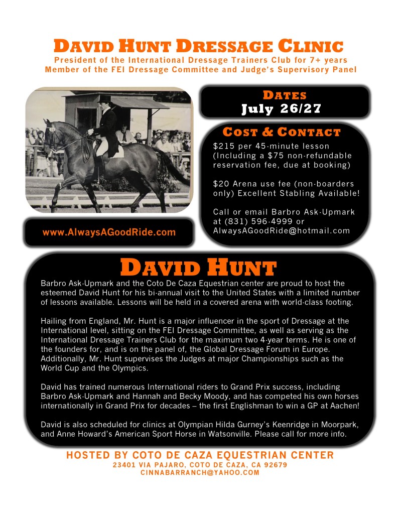 David Hunt July 2014 Clinic Flyer